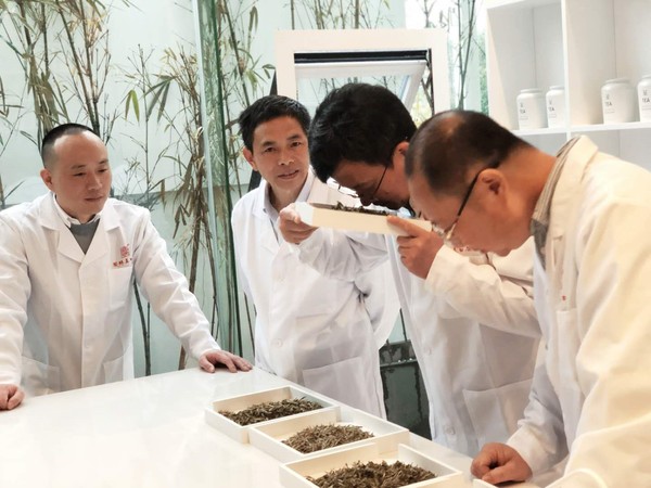 浙江大學(xué)茶學(xué)研究所和福建省農(nóng)委的有關(guān)專家現(xiàn)場品鑒國號福鼎白茶的新茶質(zhì)量。李偉 攝影
