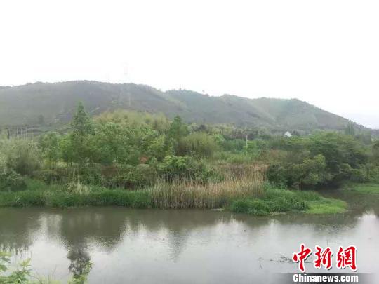 徐階墓所在地 長興宣傳部提供 攝