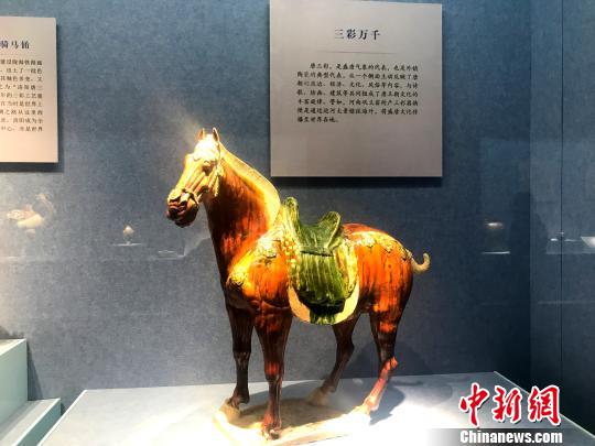 圖為展出的唐三彩馬?！〈藜衙?攝
