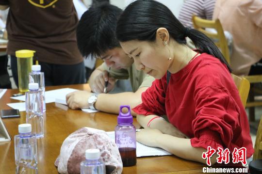 參賽者認(rèn)真地投入比賽?！≮w強(qiáng) 攝