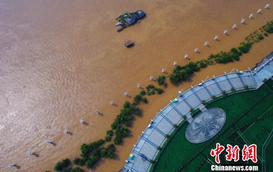 6月11日，航拍贛江南昌段水位暴漲，沿江景觀樹受淹在渾濁的江水之中?！⒄祭?攝