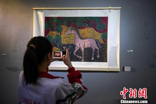 圖為拉薩市民觀看展覽?！『闻罾?攝