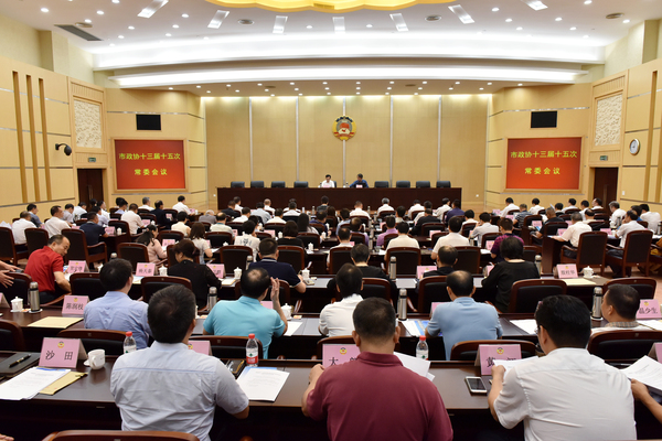 東莞市政協(xié)常委會(huì)議熱議濱海灣新區(qū)開(kāi)發(fā)建設(shè)