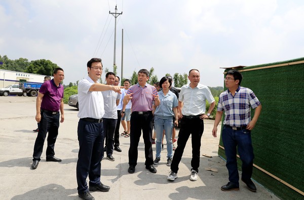 重慶市長壽區(qū)政協(xié)視察桃花河污染整治工作
