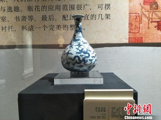 “景德鎮(zhèn)宋元明清花器瓷展”在廣東東莞市袁崇煥紀(jì)念園開展。圖為展出的永樂(lè)年間青花龍紋玉壺春瓶 李映民 攝