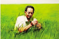 一個農業(yè)大國的特殊“重器”