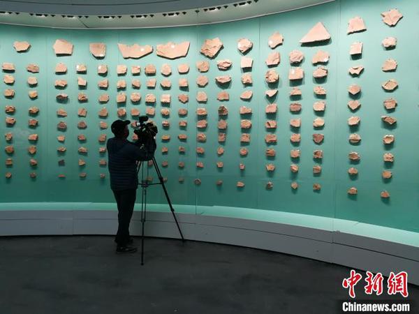 圖為澄江化石地自然博物館的化石墻?！『h(yuǎn)航 攝