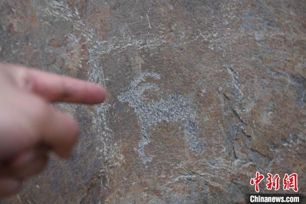 萌態(tài)可掬的山羊、鹿、牛等動(dòng)物，以及佛殿、佛像、佛塔、藏文題刻都成為創(chuàng)作題材。　楊艷敏 攝
