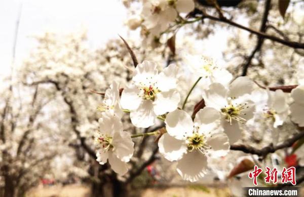 甘肅皋蘭古老黃河文化“筑巢引鳳”絲路資源育旅游新產(chǎn)