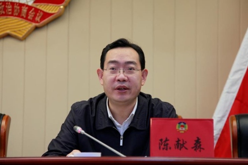 區(qū)委常委、副區(qū)長(zhǎng)陳獻(xiàn)森在會(huì)上講話