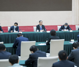 汪洋與民進(jìn)、九三學(xué)社界別政協(xié)委員共商國是