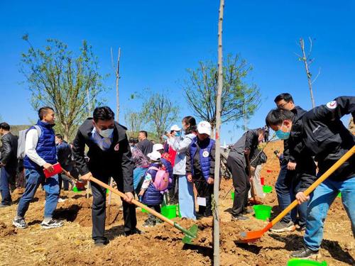 太行山革命老區(qū)山西省陵川縣植樹現(xiàn)場