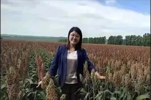 微信截圖_20211202132738