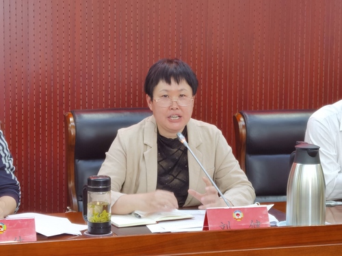 東城區(qū)政協(xié)黨組副書記、副主席劉健匯報東城區(qū)政協(xié)貫徹落實中央、市委政協(xié)工作會議精神的進(jìn)展情況