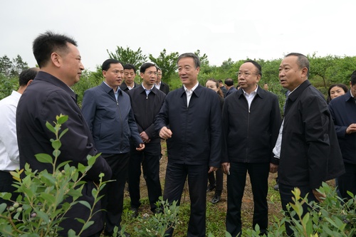 （黔站，新征程專欄稿）在新的認(rèn)識高度上推(2750231)-20230805081235