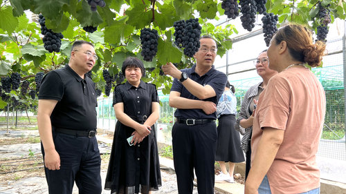 圍繞特色農(nóng)產(chǎn)品產(chǎn)業(yè)發(fā)展調(diào)研視察 圍繞特色農(nóng)產(chǎn)品產(chǎn)業(yè)發(fā)展調(diào)研視察