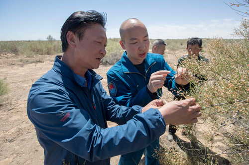 （416配稿）劉宏義：扎根戈壁，鑄就綠色(7011941)-20250421085901