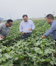 提案辦理有成效丨加強(qiáng)種業(yè)原始創(chuàng)新 保障國家糧食安全