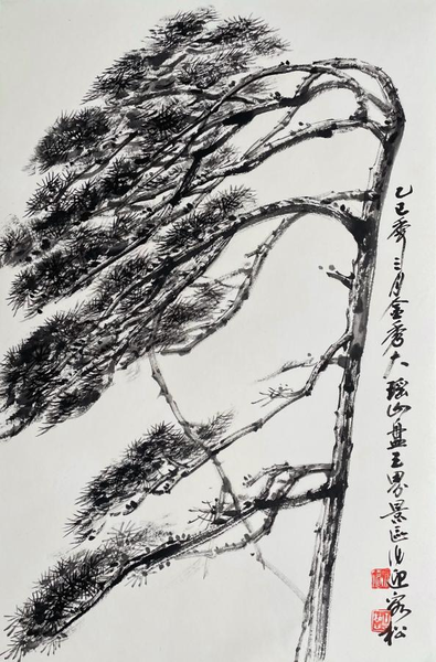 圖片15