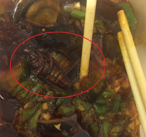 多地外賣需貼“安全食用時限”標(biāo)簽 你注意過嗎？
